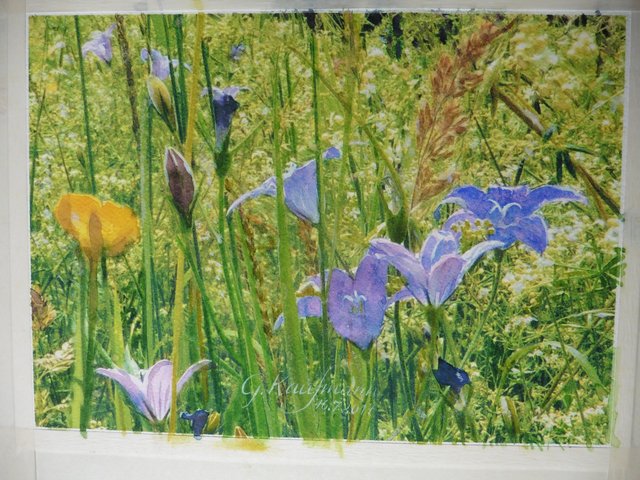 Wiese Renzenhof, Aquarell von Gunter Kaufmann