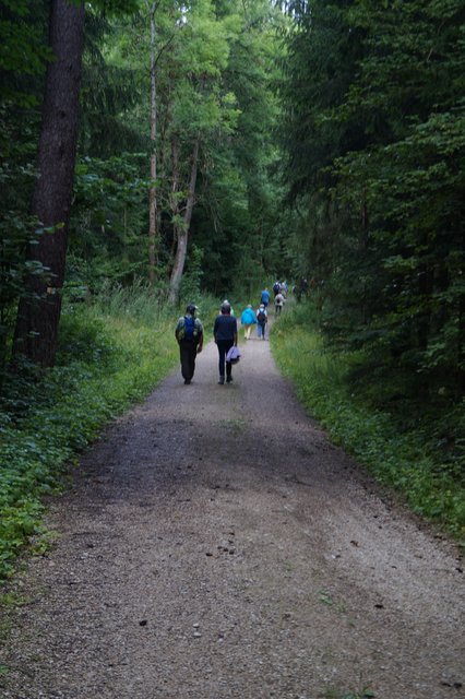 .... und dann zurück zum Bahnhof nach Rupprechtstegen (Foto: privat)