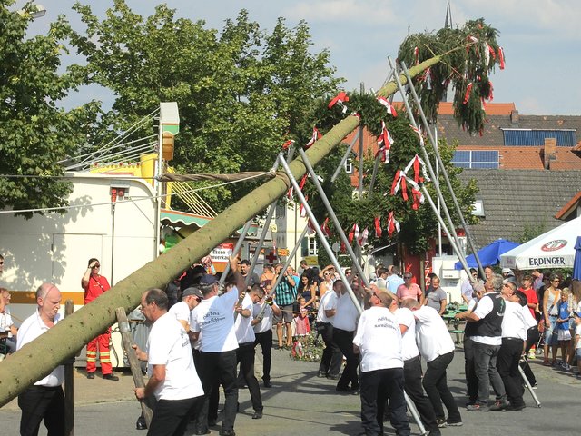 ... Baumaufstellen gehören in jedem Jahr dazu. Fotos: Markt Hirschaid