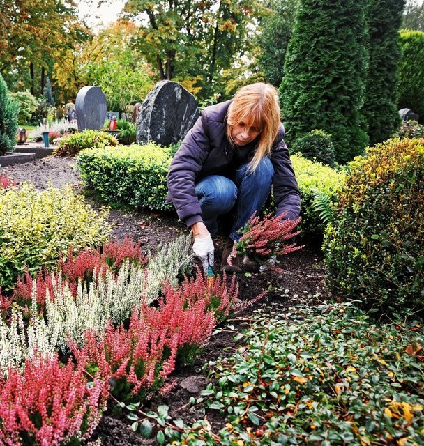 Die Polizei warnt vor Dieben, die während das Opfer mit der Grabpflege beschäftigt ist, Handtaschen klauen. | Foto: ©Ingo Bartussek/Fotolia.com