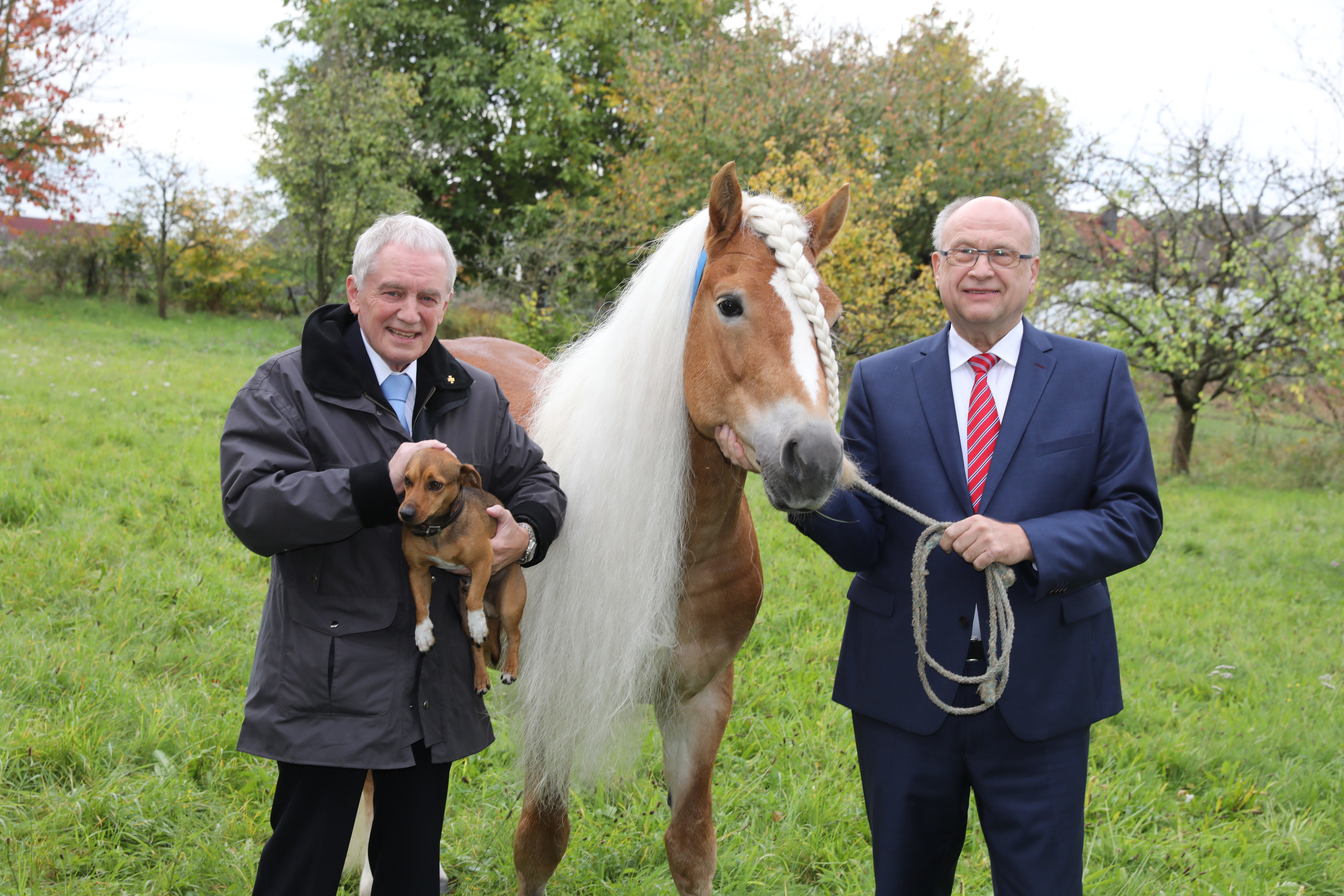 Konsul Hans-Peter Schmidt (l.) mit Hund Carlos und Messechef Hermann Könicke mit Atego, einem sechsjährigen Haflinger.