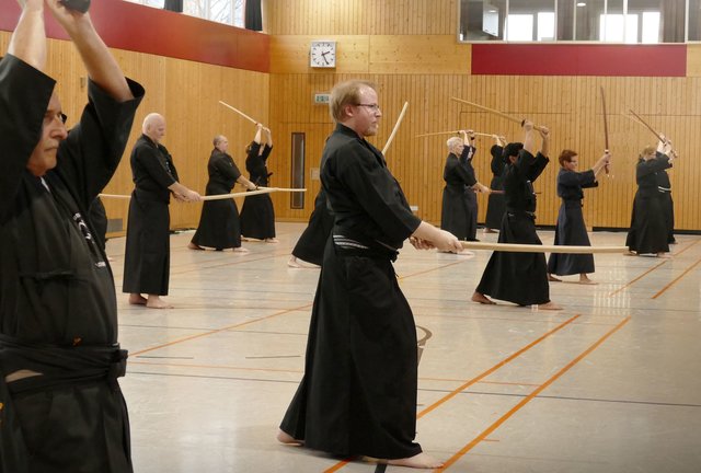 Iaido Landeslehrgang mit Wim van Mourik