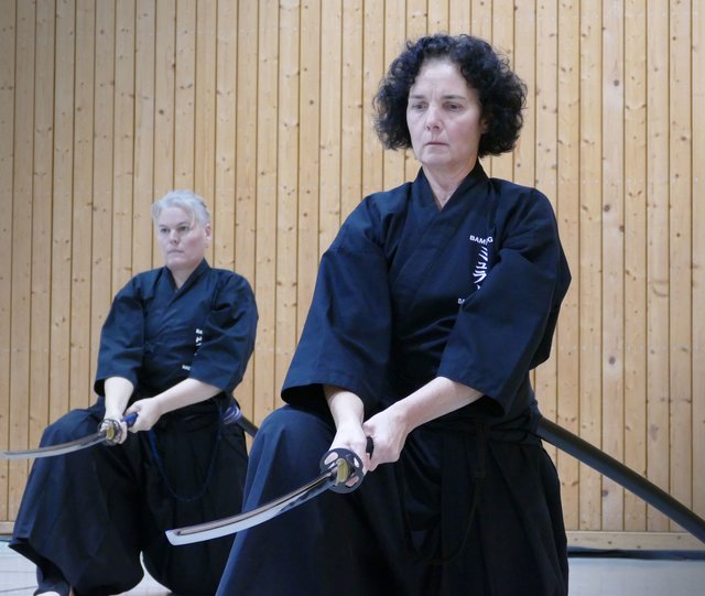 Iaido Landeslehrgang mit Wim van Mourik