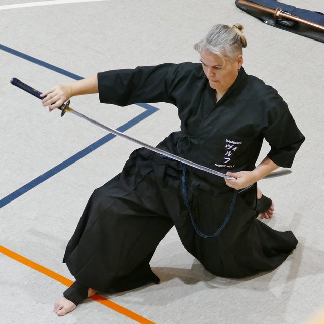 Iaido Landeslehrgang mit Wim van Mourik