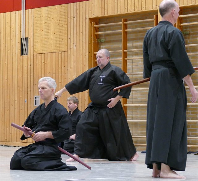 Iaido Landeslehrgang mit Wim van Mourik