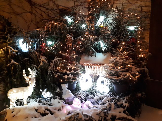 Markus Zeis hat dem MarktSpiegel Bilder seiner schönen Weihnachtsdeko geschickt: ,,Es handelt sich um mein Weihnachtshaus in Bojendorf/Landkreis Bamberg, das ich heuer mit insgesamt 18100 Lichtern geschmückt habe. Die Highlights sind meine beweglichen Figuren. Es wird auch alle Jahre etwas Neues installiert." | Foto: Privat/Markus Zeis