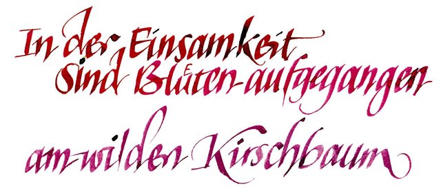 Foto: Andreas Lux