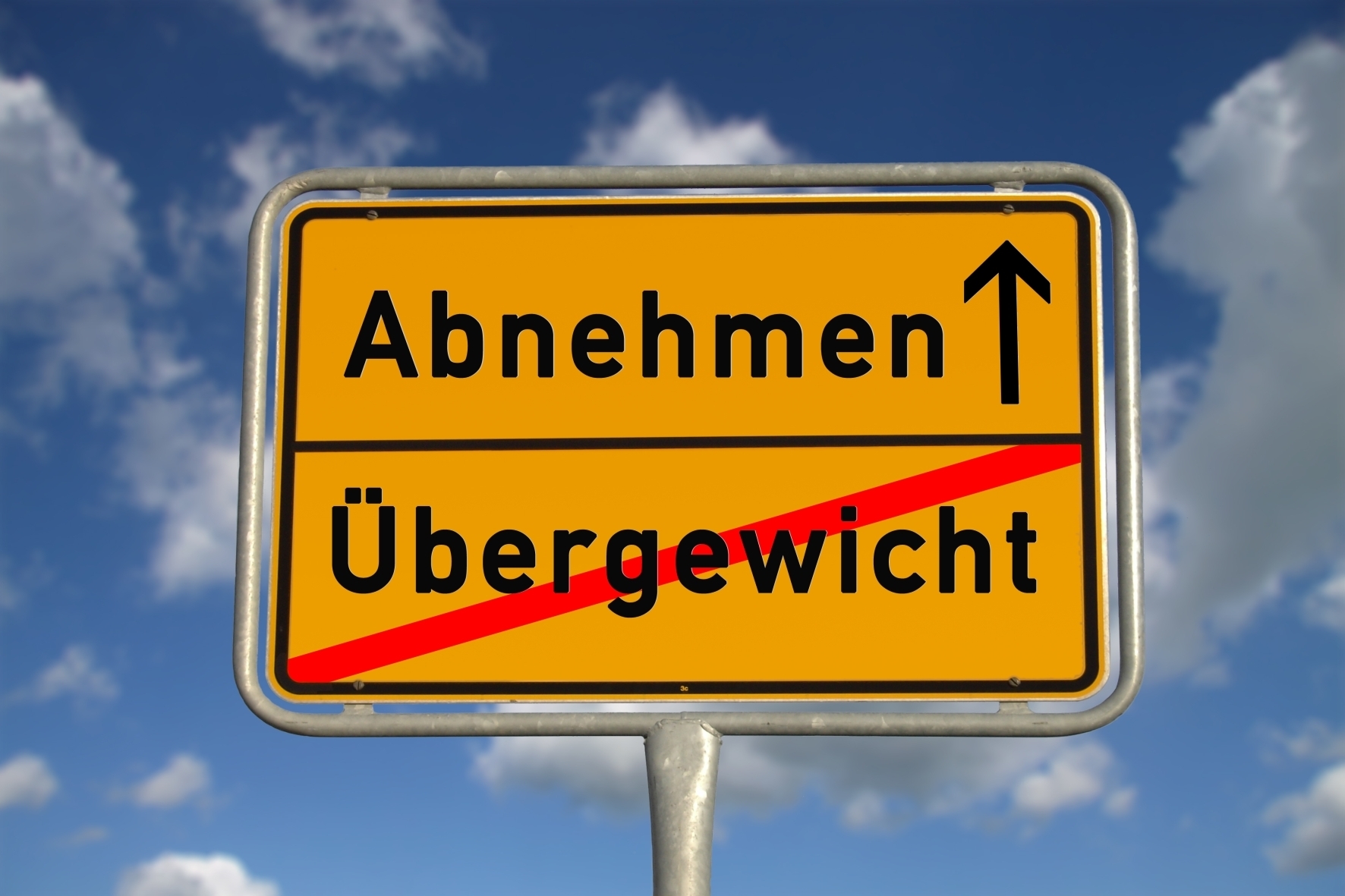 Deutsches Ortsschild Abnehmen Übergewicht