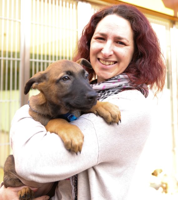 Tanja Schnabel (Leiterin des Tierheims Nürnberg) mit einem der putzmunteren Malinois Welpen. | Foto: Nicole Fuchsbauer