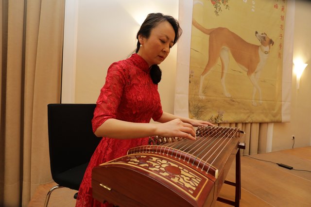 Musikerin Yu Jun - Guzheng-Solo. | Foto: Udo Dreier