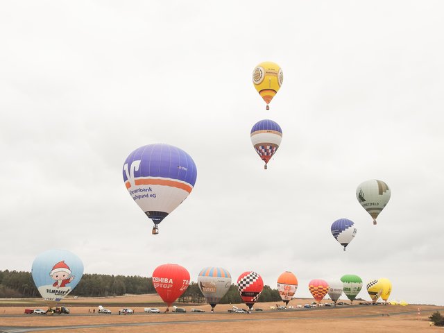 Buntes Ballonspektakel beim Frankenballoncup 2017. | Foto: Nicole Fuchsbauer