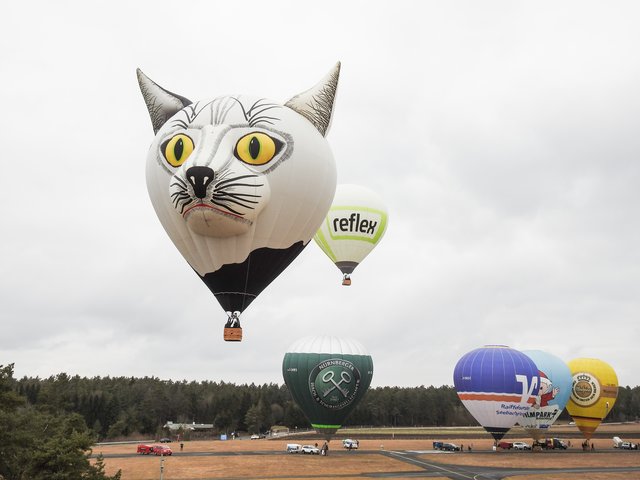 Startphase beim Frankenballoncup 2017 auf dem Flugplatz Burg Feuerstein. | Foto: Nicole Fuchsbauer