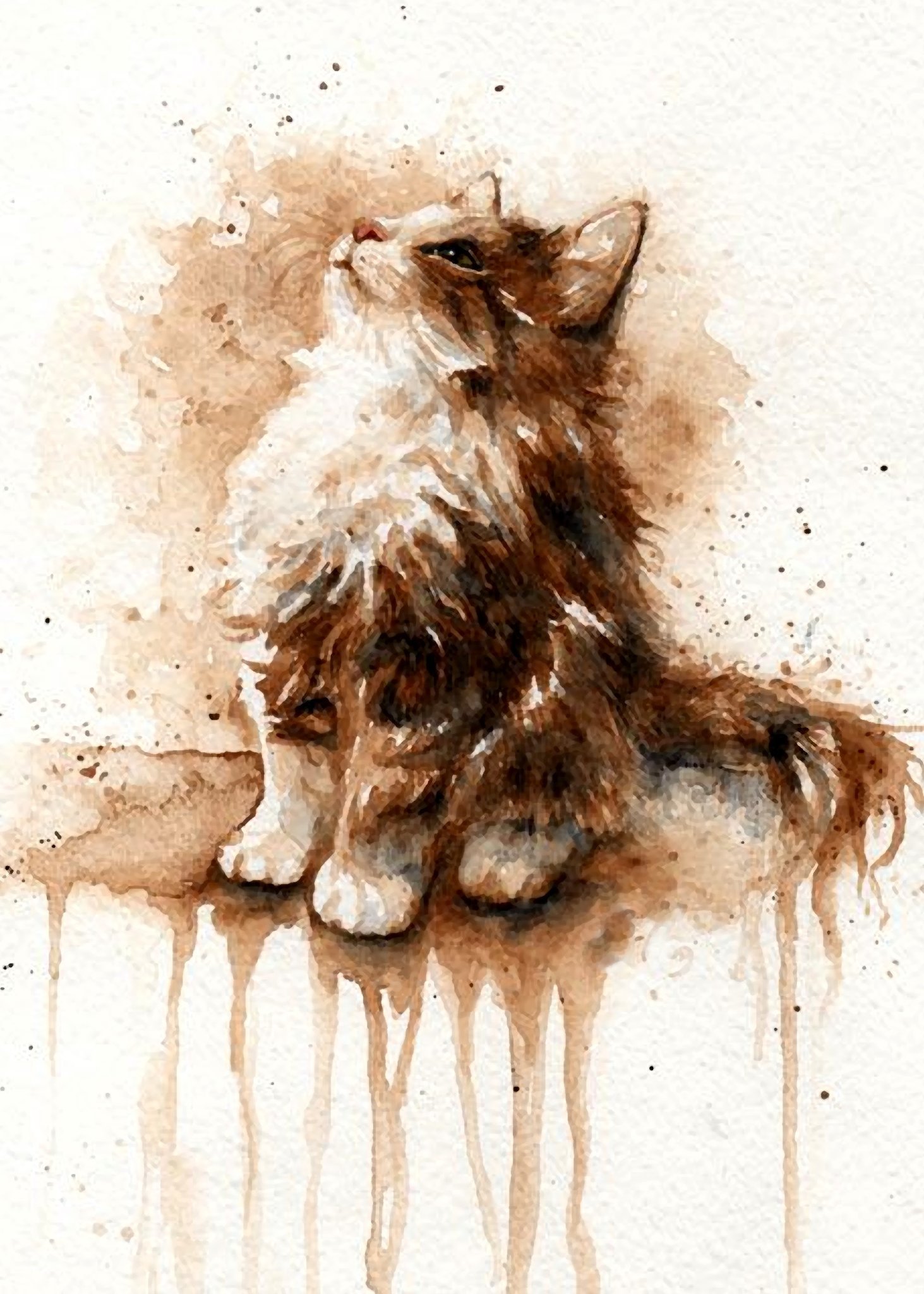 нарисовать кошку акварелью. котенок акварель. скетчи животных акварелью. котенок рисунок акварелью. кошка акварелью.