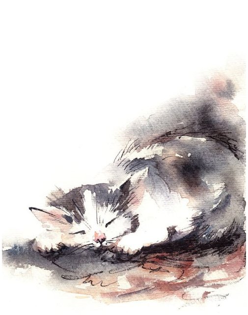 schlafende Katze, Aquarellskizze