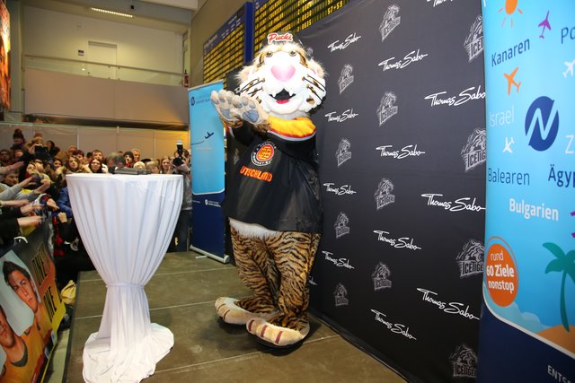 Rund 700 Fans der Nürnberger Ice Tigers feierten die Ankunft der drei Silbermedaillengewinner Patrick Reimer, Yasin Ehliz und Leo Pföderl, die mit der Deutschen Olympia Eishockeymannschaft in Pyeongchang einen historischen zweiten Platz im Eishockey belegten. | Foto: Jürgen Friedrich