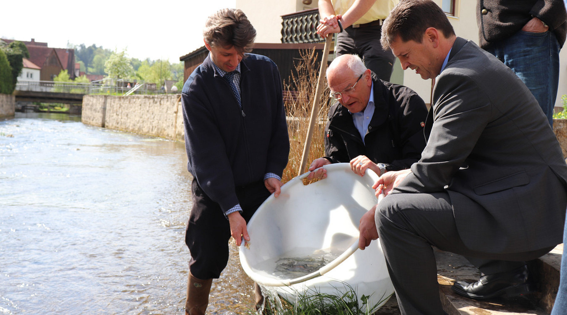 Bezirkstagspräsident Dr. Günther Denzler (Mitte) setzt zusammen mit Bürgermeister Stefan Frühbeißer (rechts) und Fischereirat Dr. Thomas Speierl laichreife Fische in die Püttlach bei Pottenstein ein.
