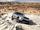 Jaguar Land Rover arbeitet an der Entwicklung autonom fahrender Fahrzeuge im Gelände. Foto: Auto-Medienportal.Net/Jaguar Land Rover