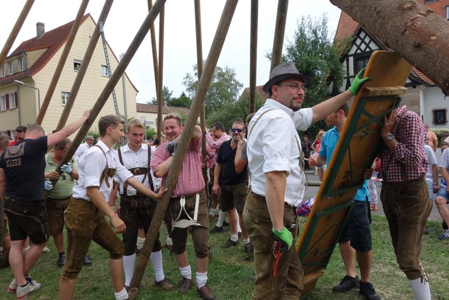 Nicht nur die langen Stecken werden beim Aufstellen benutzt, auch eine Biergartenbank tut gute Dienste. | Foto: © ZBV