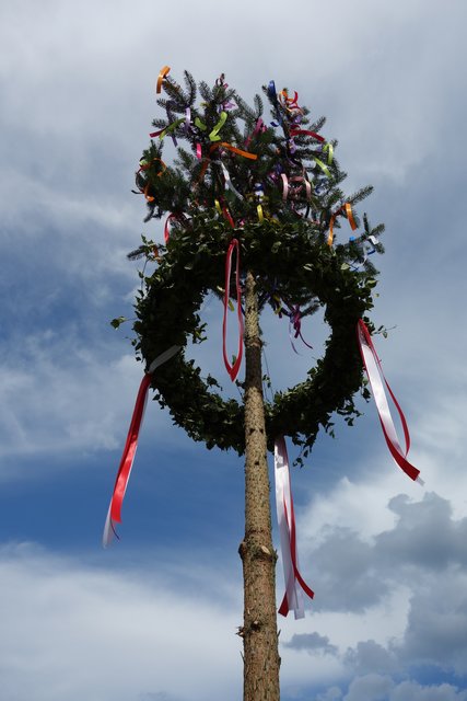 Geschafft: Der geschmückte Baum steht gerade wie eine "Eins". | Foto: © ZBV