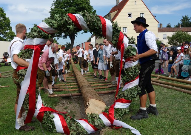 Die Vorbereitungen für das Aufstellen des großen Kärwabaumes laufen auf Hochtouren. | Foto: © ZBV