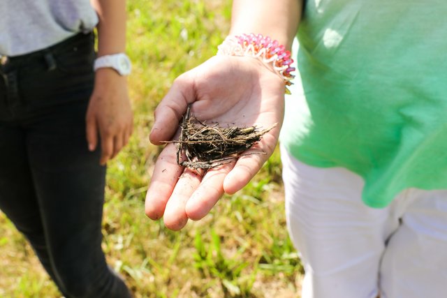 ,,Wir haben da etwas Angekokeltes gefunden!" | Foto: Nicole Fuchsbauer