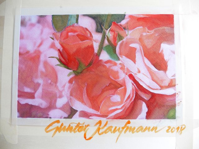 Rosen in Aquarell gemalt, Gunter Kaufmann, 21x29,7 cm, im Juli 2018