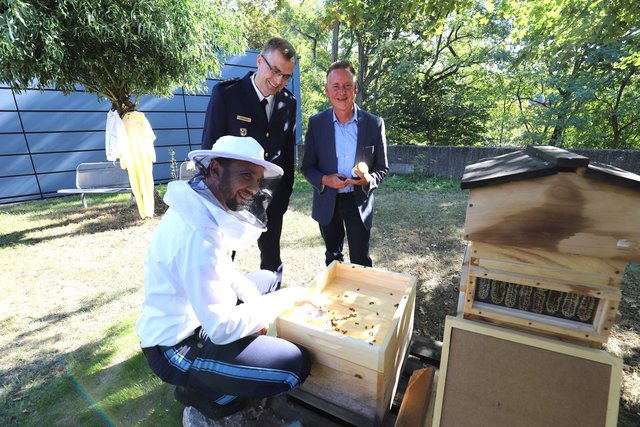 Fürths Polizeichef Michael Dibowski und OB Thomas Jung schauen dem Polizisten und Hobbyimker Matthias Scholz bei der Bienenpflege im respektvollen Abstand über die Schulter. | Foto: Ebersberger