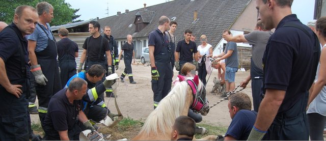 Marienbergstraße: Am dortigen Reiterhof brach ein Tier mit den Hinterläufen in einen Schacht ein und musste von der Feuerwehr befreit werden. | Foto: Feuerwehr Nürnberg