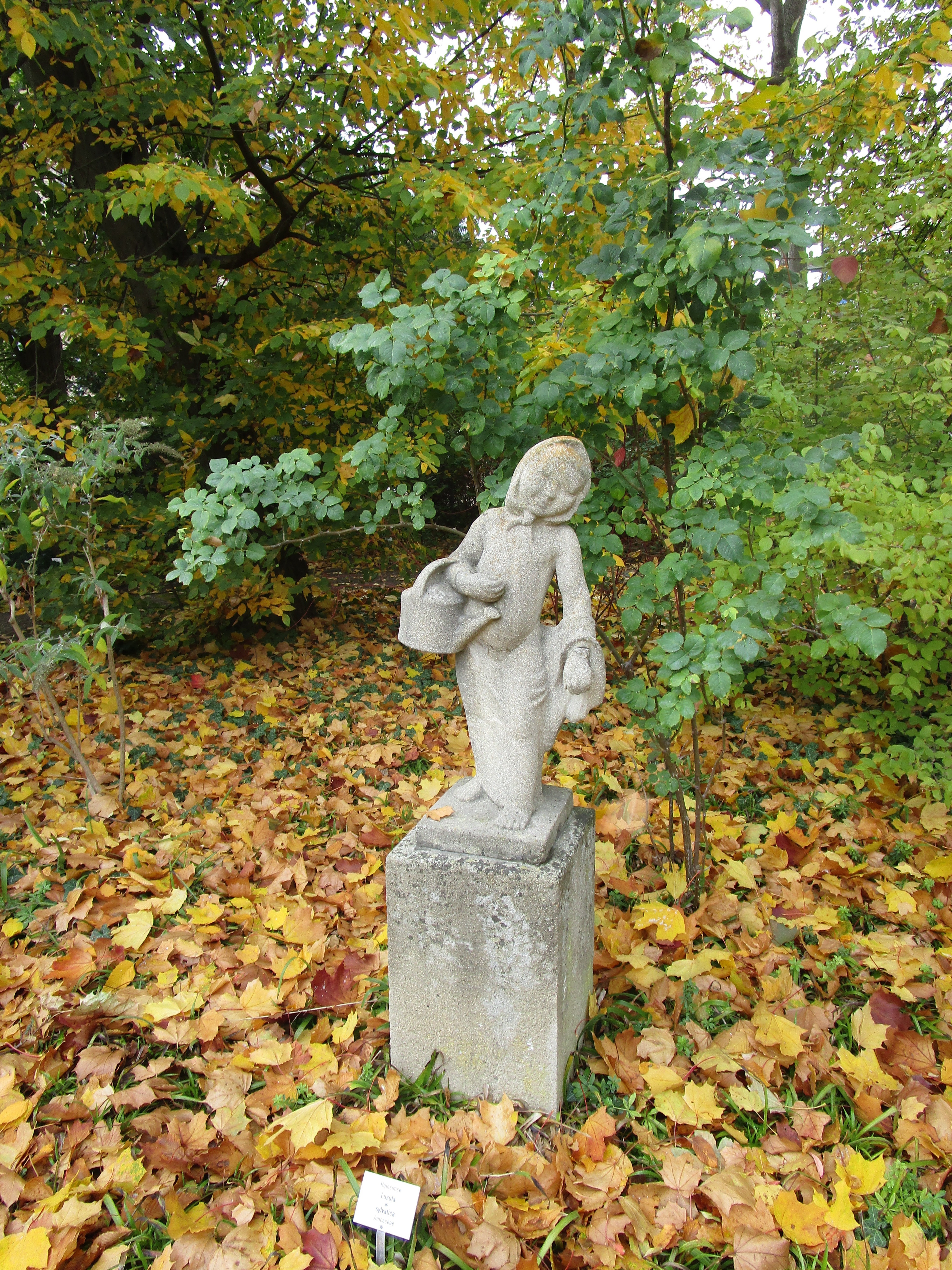 Im Schulgarten