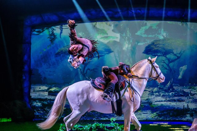 Capoeiro springt über das Trickreitpferd. | Foto: ©CAVALLUNA