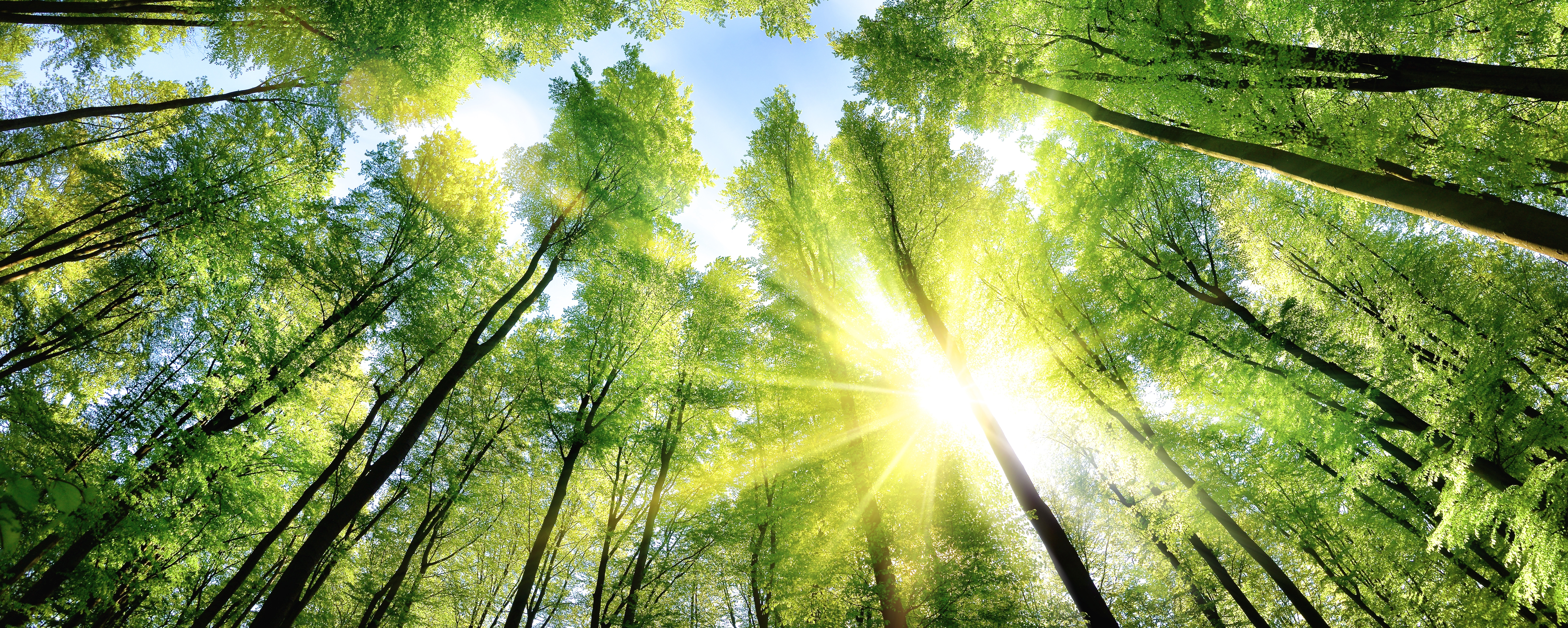 Foto: © Smileus / Fotolia.com