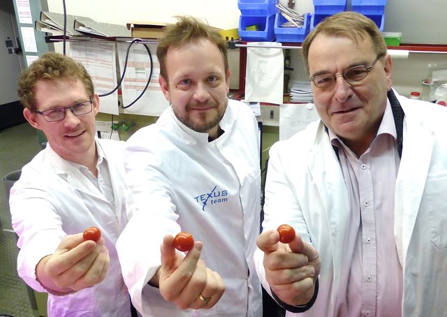 Damit‘s auch im All schmeckt: PD Dr. Michael Lebert (r.), Dr. Sebastian Strauch (M.), Ferdinand Haag (l.) und Dr. Peter Richter (nicht im Bild) vom Lehrstuhl für Zellbiologie der FAU feilen weiter an den Frische-Details. Foto: © Uwe Müller