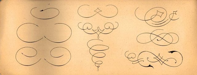 Prof. Pio Marta. Premiato metodo graduale per l'apprendimento della CALLIGRAFIA. Modello di svolazzi.