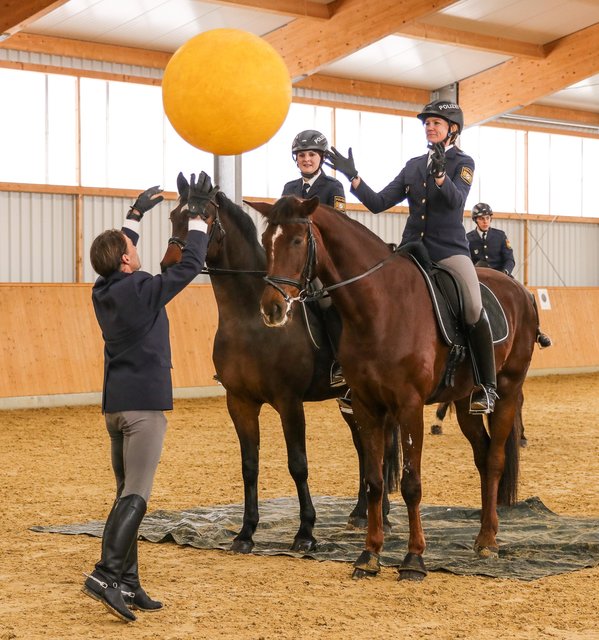 Der normalerweise furchterregende Ball kommt auf den Kopf des Pferdes zugeflogen, die Reiterin kann die Zügel ablegen und den Ball fangen, ohne daß das Polizeipferd die Nerven verliert. | Foto: Nicole Fuchsbauer