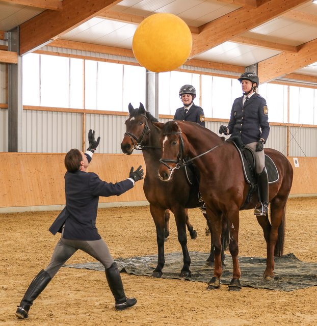 Der normalerweise furchterregende Ball kommt auf den Kopf des Pferdes zugeflogen, die Reiterin kann die Zügel ablegen und den Ball fangen, ohne daß das Polizeipferd die Nerven verliert. | Foto: Nicole Fuchsbauer