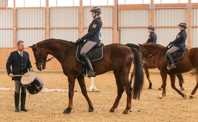 Ein wichtiger Teil der Ausbildung für die Polizeipferde ist das gelassene Reagieren auf laute Geräusche. Die Trommel darf sie nicht beeindrucken, genauso wenig wie Schussgeräusche (bei der Vorführung aus einer Schreckschusspistole). Diesen Part meisterten die Pferde-Anwärter in der ruhigen Umgebung der Reithalle schon sehr gut. | Foto: Nicole Fuchsbauer