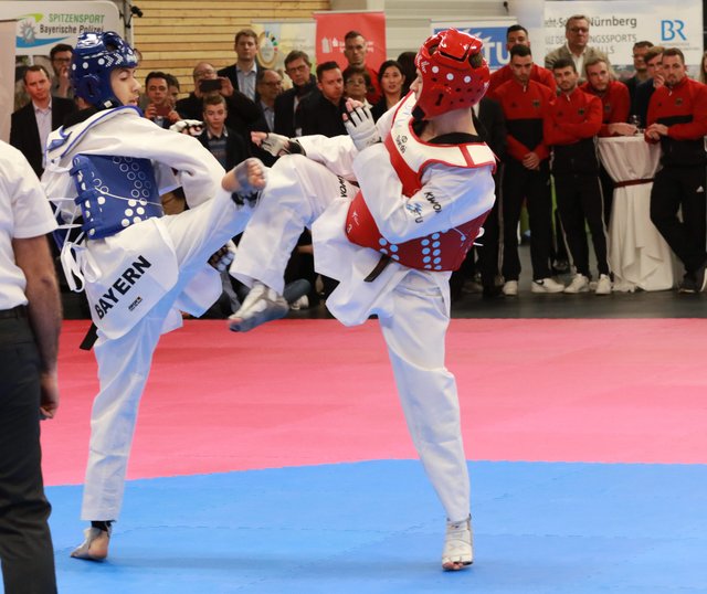 Im Anschluss an den Festakt zeigen einige Taekwondokas unter staunenden Blicken der Ehrengäste ihr Können. | Foto: Udo Dreier