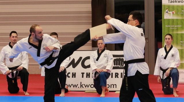 Im Anschluss an den Festakt zeigen einige Taekwondokas unter staunenden Blicken der Ehrengäste ihr Können. | Foto: Udo Dreier