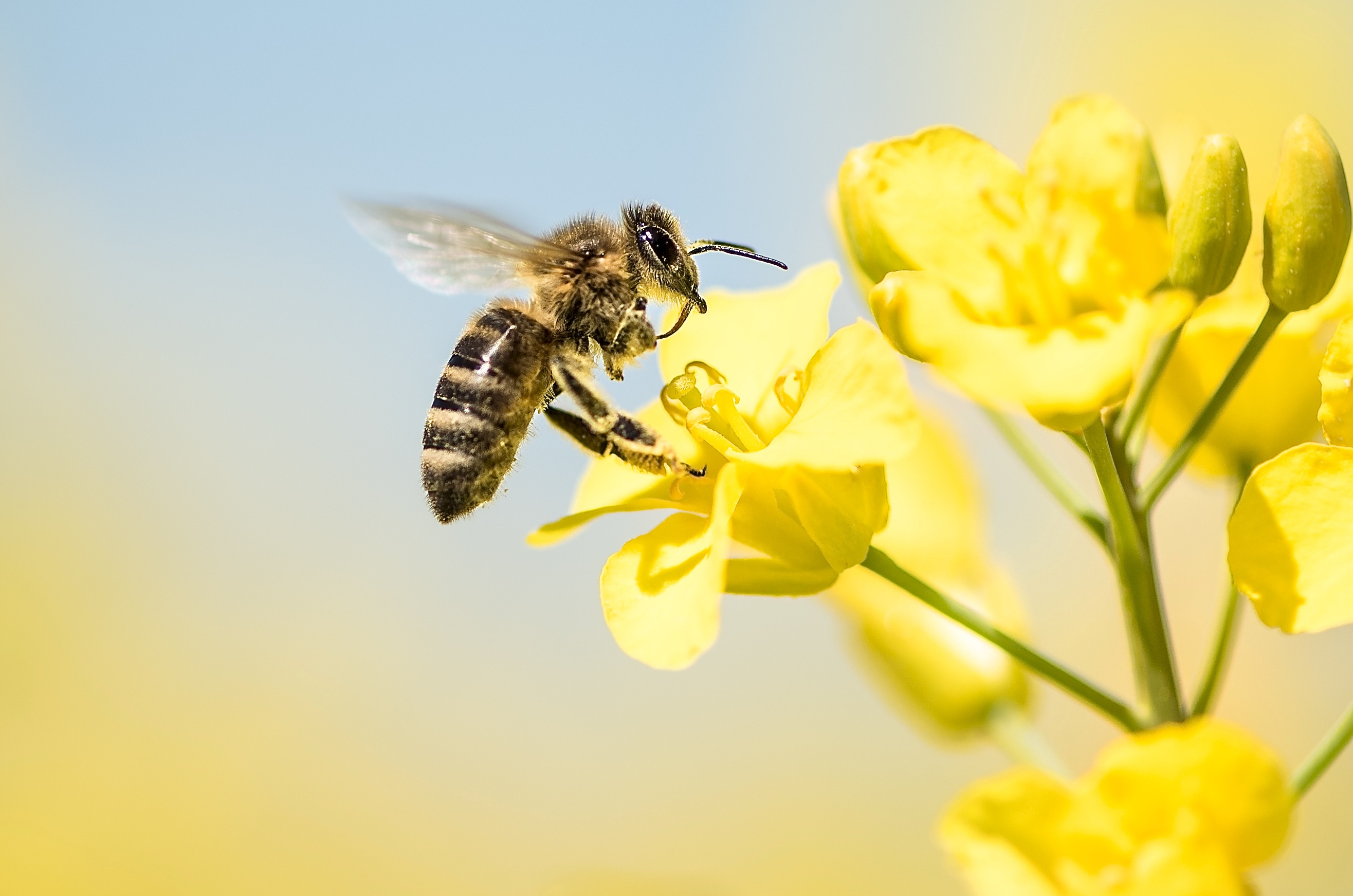 Foto: © K. Thalhofer / stock.adobe.com