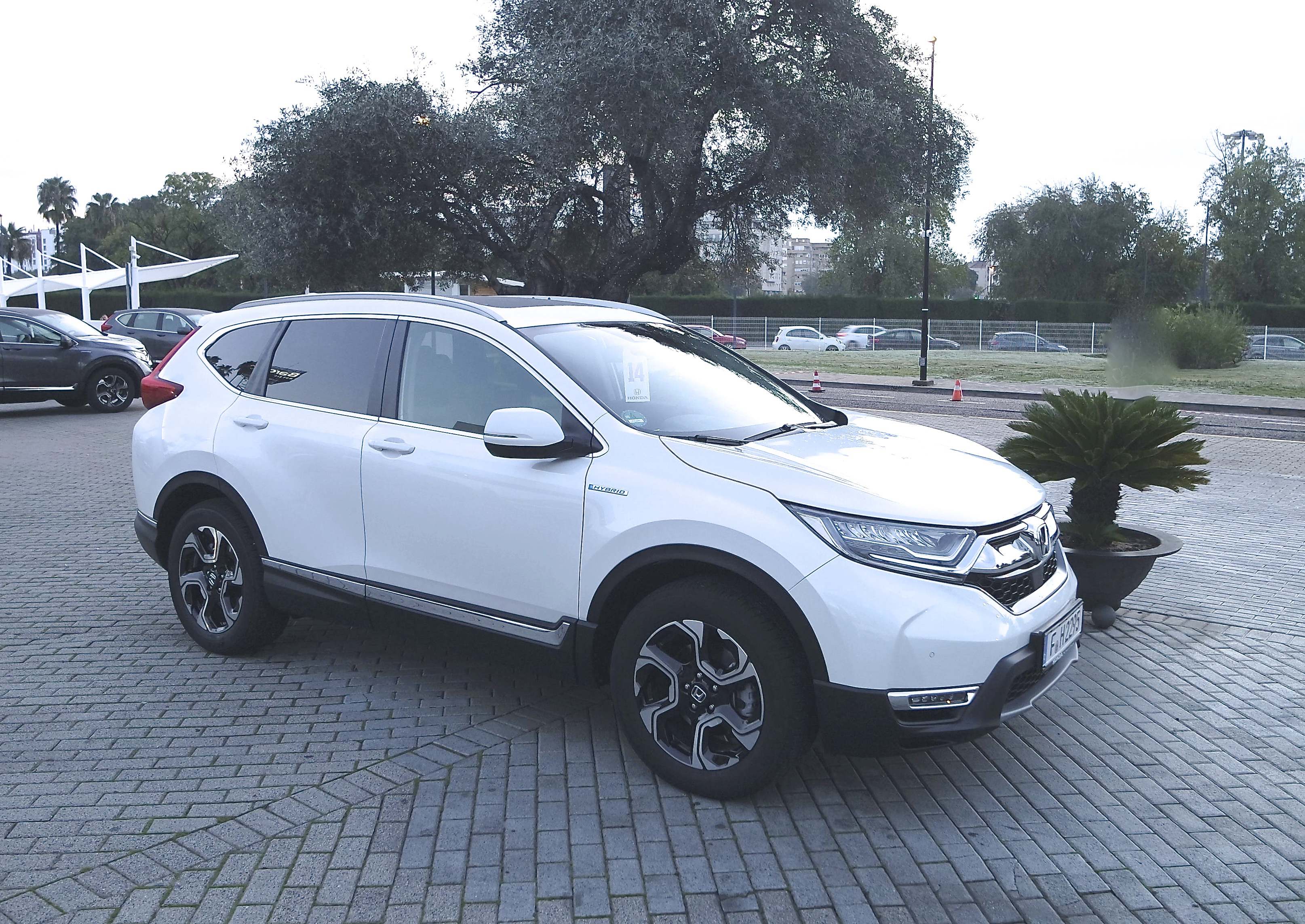 Der Honda CR-V Hybrid beschleunigt nahtlos und linear. Das Umschalten der einzelnen Betriebsmodi spürt weder der Fahrer noch ein Beifahrer. Foto: Auto-Medienportal.Net