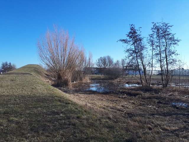 Aussichtshügel