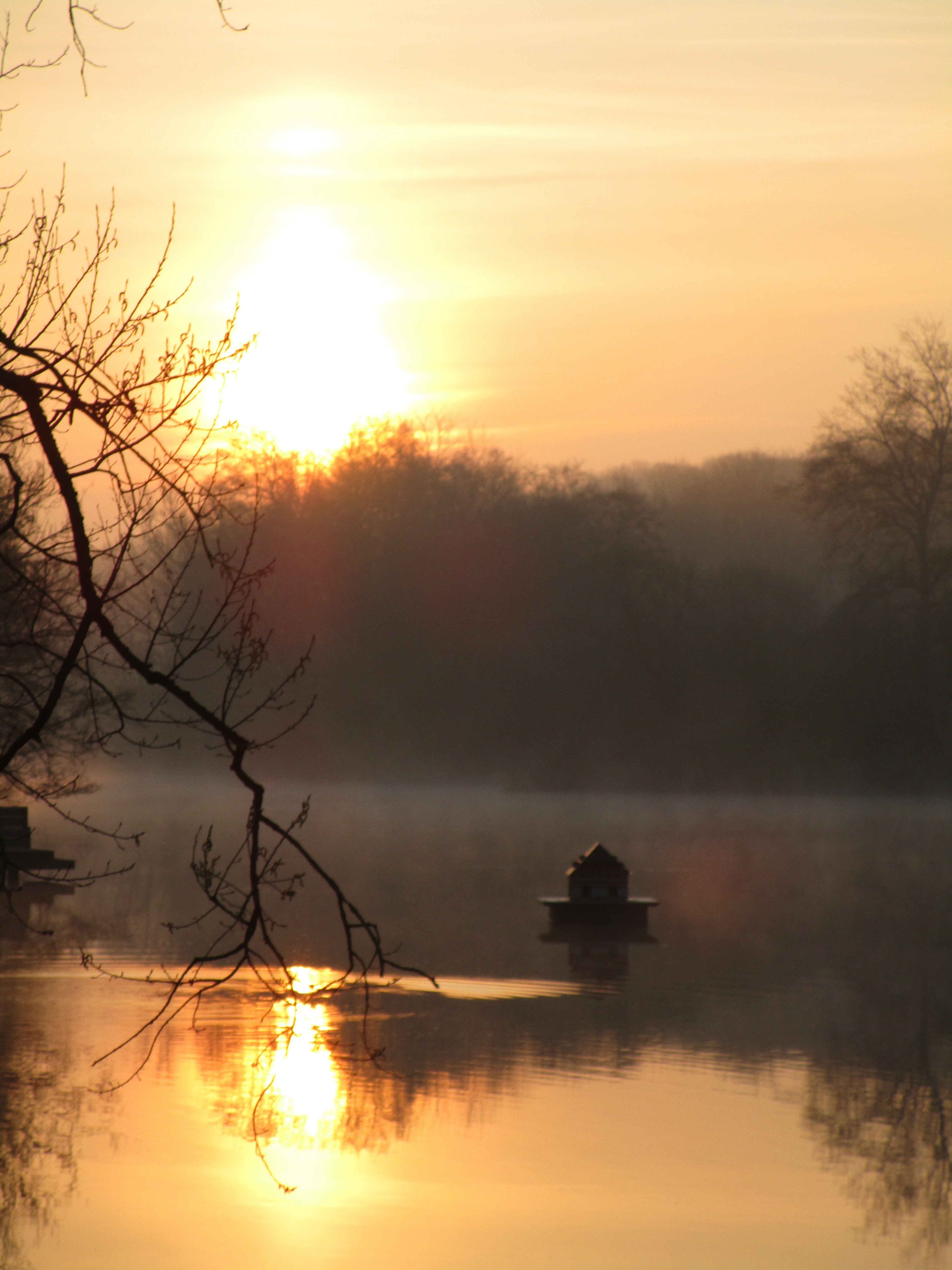 Sonnenaufgang bei Schloss Wentorp