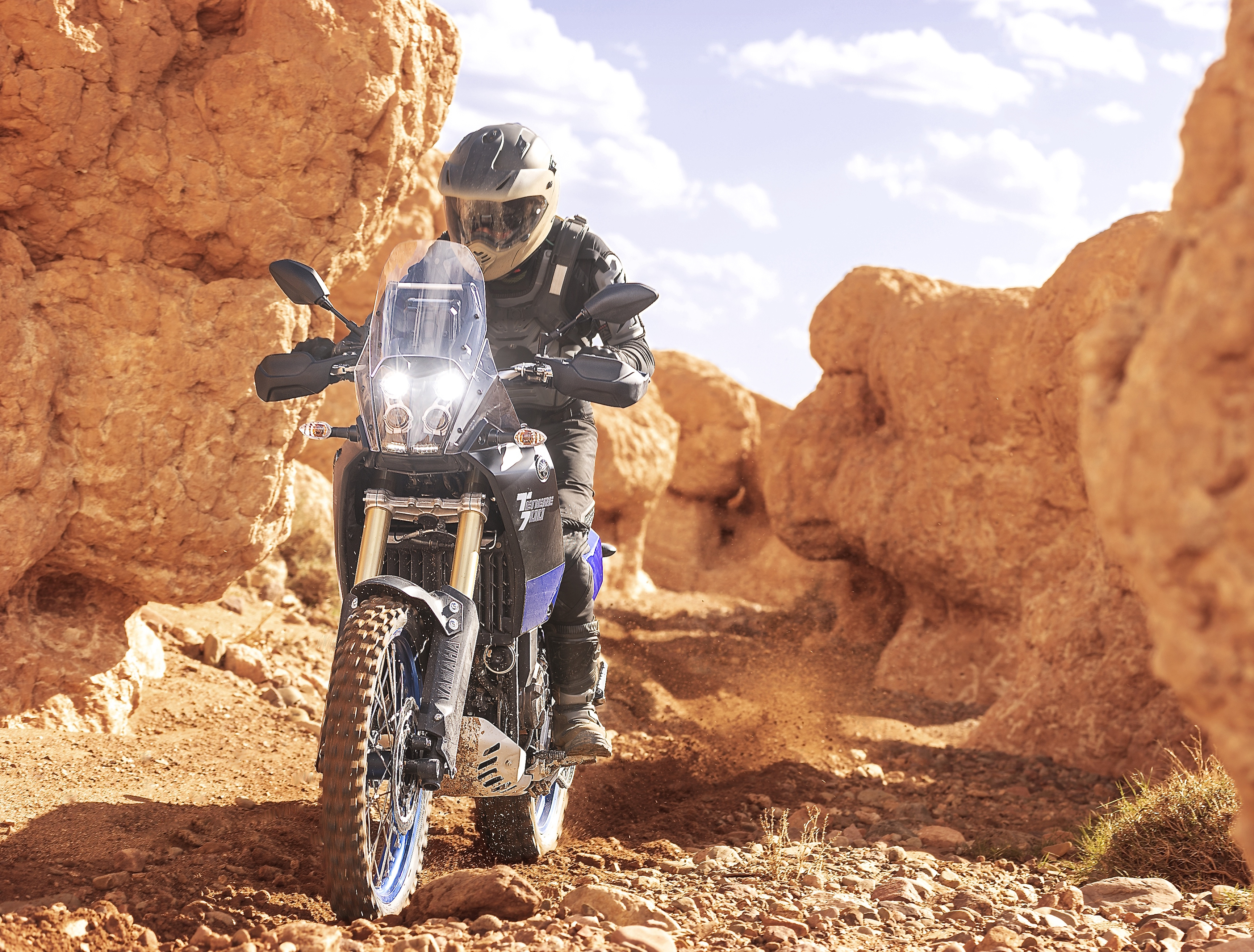 Yamaha Ténéré 700.
Foto: Auto-Medienportal.Net/Yamaha