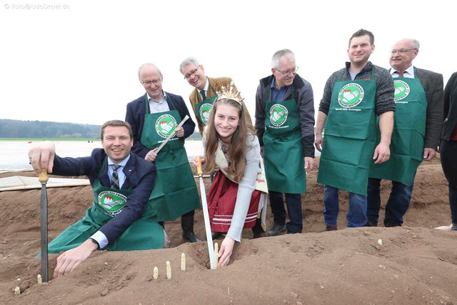 Start in die bayerische Spargelsaison 2019 in Obermichelbach.  | Foto: Udo Dreier