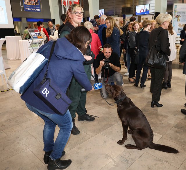 Zollhund Mia im Interview.  | Foto: Nicole Fuchsbauer
