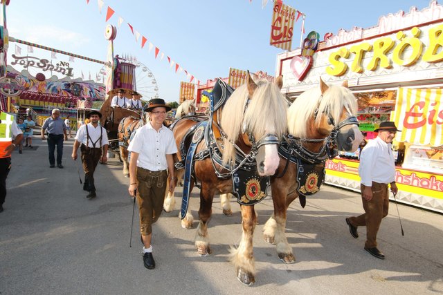 Schausteller laden zum Jubiläums-Frühlingsfest! | Foto: Udo Dreier