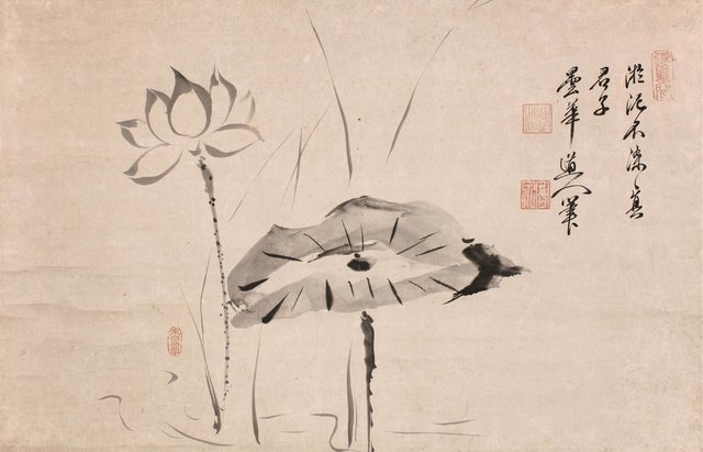 Gaoquan Xingdun, Lotospflanzen, 17. Jhd., Sammlung Walter Gebhard. | Foto: Kunstmuseum Bayreuth