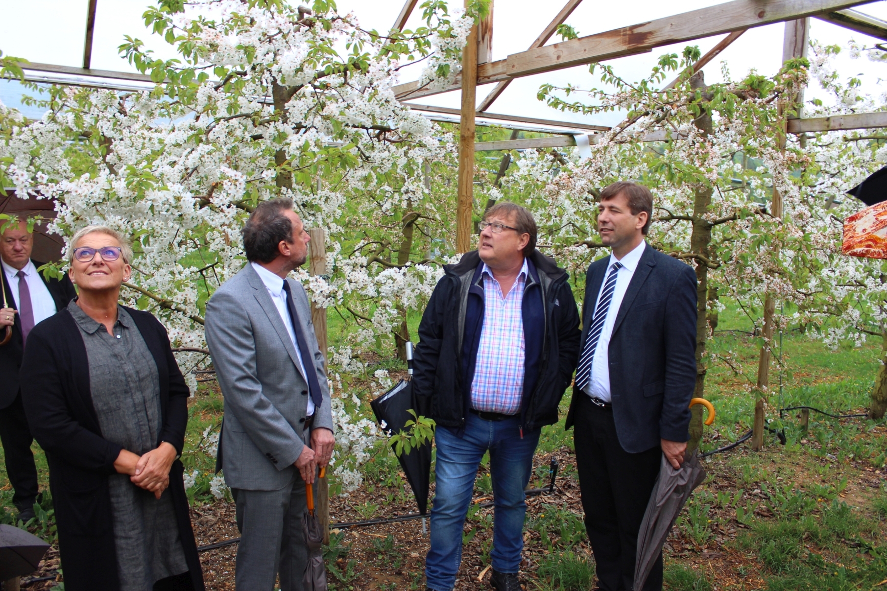 Besichtigung der Versuchsanlage: v. l .n. r.: stellvertretende Landrätin Rosi Kraus, Staatsminister Thorsten Glauber, Kreisfachberater Hans Schilling, Landrat Dr. Hermann Ulm