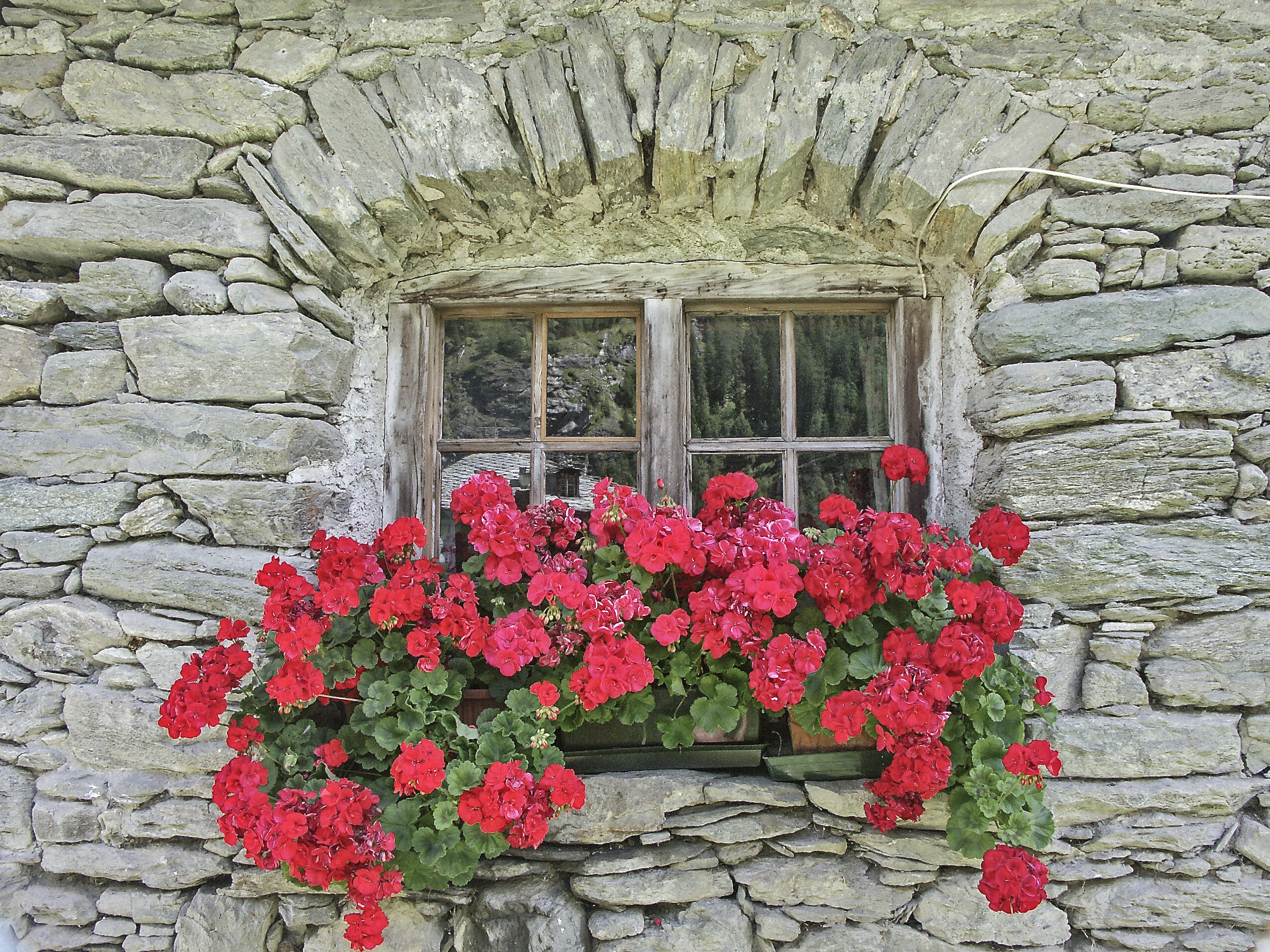 Symbolfoto: © Hans und Christa Ede / Fotolia.com