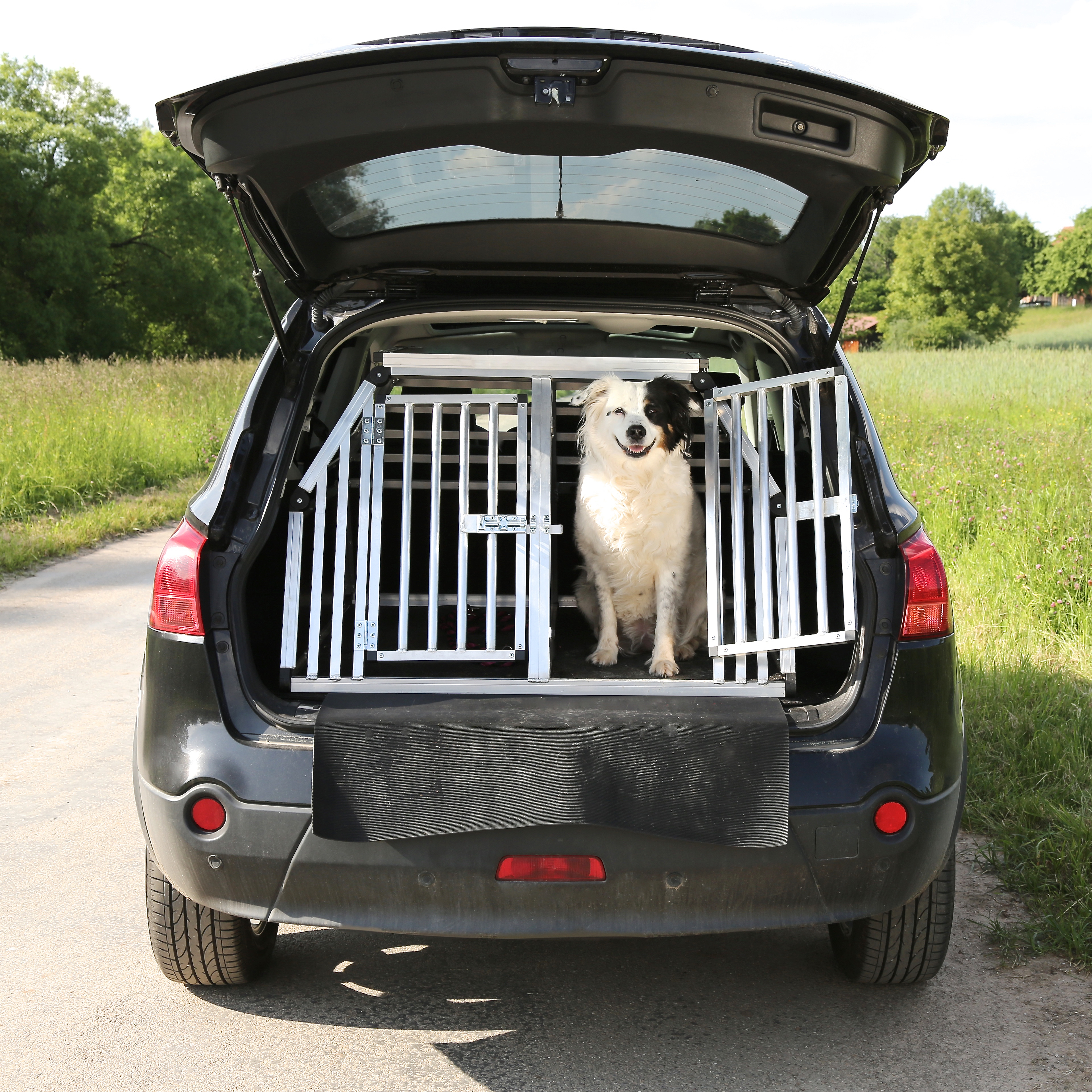 Gute Fahrt: Transportboxen bzw. -käfige sind sicher und werden darum wärmstens empfohlen.
Foto: Markus Mainka / stock.adobe.com